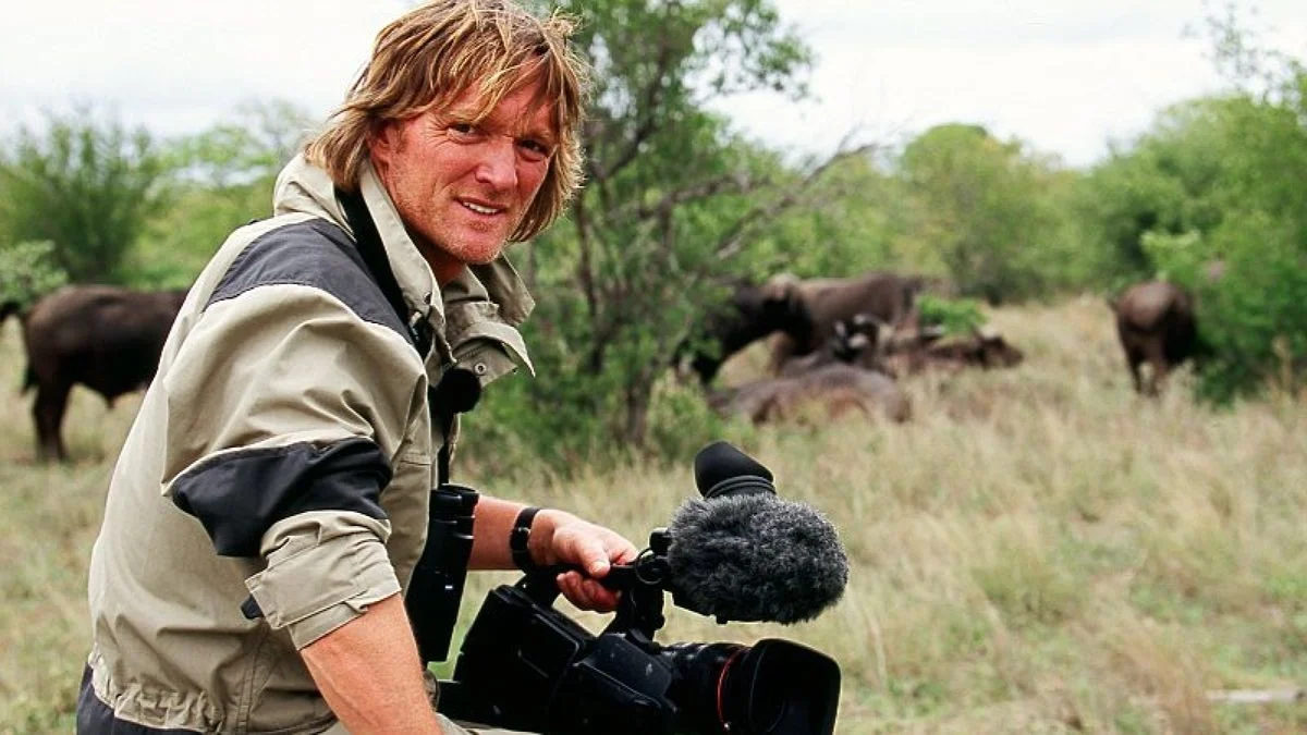 marcus hmberg flashback